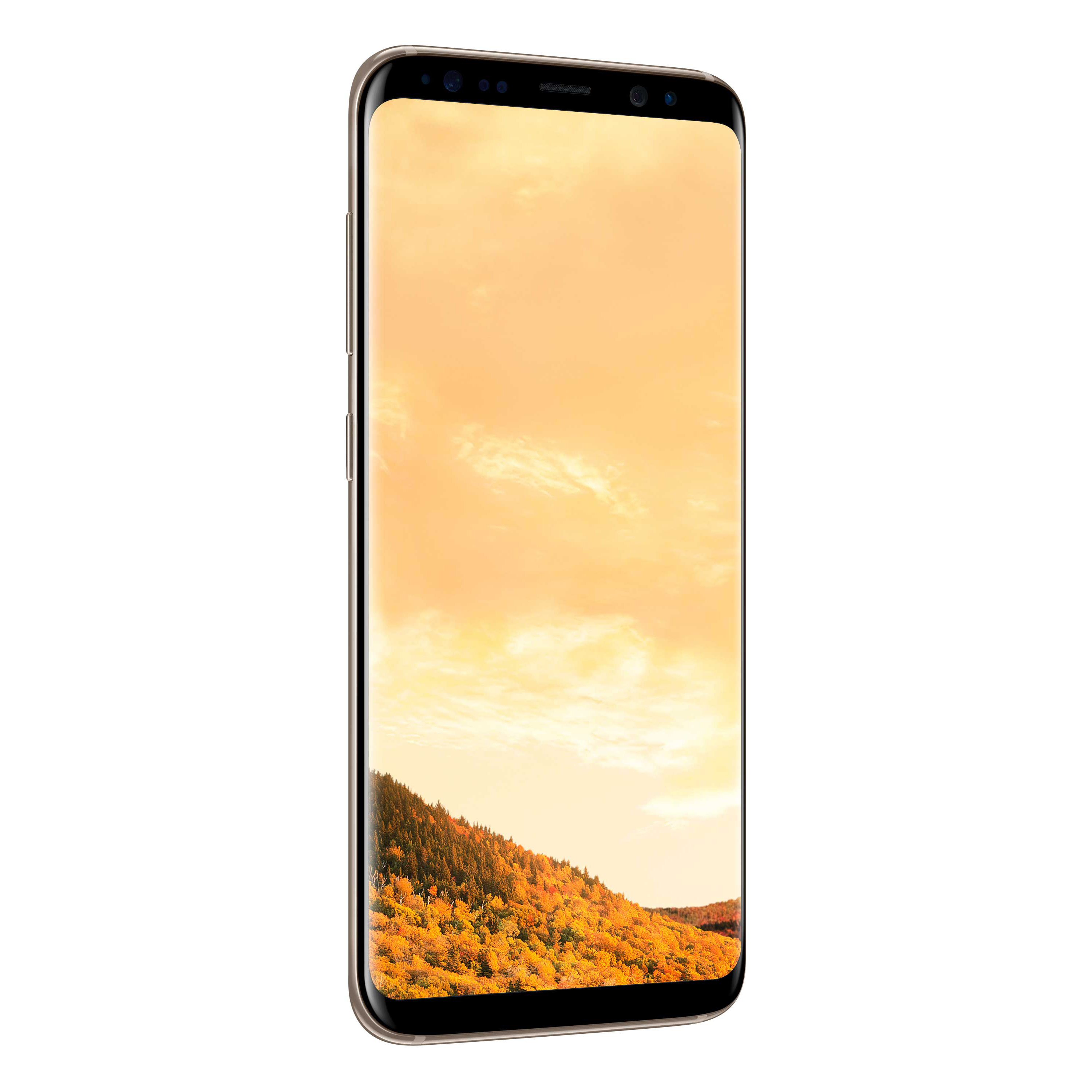 Смартфон samsung 8. Samsung Galaxy s8 64gb. Samsung Galaxy s8 Plus 64. Samsung Galaxy s8 Plus 64gb. Смартфон Samsung Galaxy s8 64 ГБ.