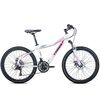 სამთო ველოსიპედი TRINX N104-24x14.5x21S 2020 (120 KG)iMart.ge