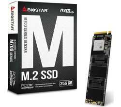 მყარი დისკი BIOSTAR PC COMPONENTS/ SSD M700 M2  SSD 256GB SATA (M700256GB)iMart.ge