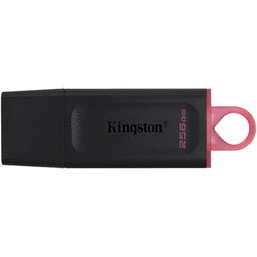 USB ფლეშ მეხსიერების ბარათი KINGSTON DTX/256GB (256GB, USB 3.2)iMart.ge