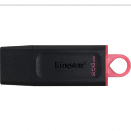 USB ფლეშ მეხიერება KINGSTON 256 GBiMart.ge