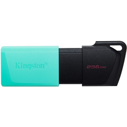 USB ფლეშ მეხსიერება KINGSTON DTXM (256GB)iMart.ge