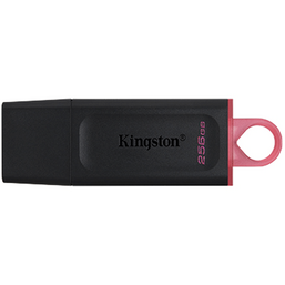 USB ფლეშ მეხსიერება KINGSTON 256GB DTX (256 GB)iMart.ge