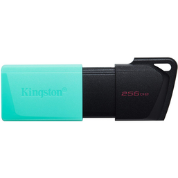 USB ფლეშ მეხსიერების ბარათი KINGSTON DTXM/256GB DATATRAVELER EXODIA M (256 GB)iMart.ge