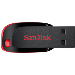 USB ფლეშ მეხსიერება SANDISK  USB FLASH DRIVE 64GB (SDCZ50-064GR)iMart.ge