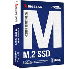 მყარი დისკი BIOSTAR / SSD/ M760-256GBiMart.ge