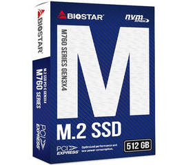 მყარი დისკი BIOSTAR PC COMPONENTS SSD/ M760-512GBiMart.ge