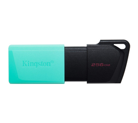 USB ფლეშ მეხსიერება KINGSTON DTXM (256GB)iMart.ge
