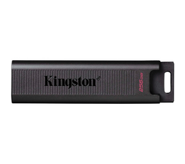 USB ფლეშ მეხსიერება KINGSTON USB 3.2 GEN 2 TYPE-C BLACK (256 GB)iMart.ge