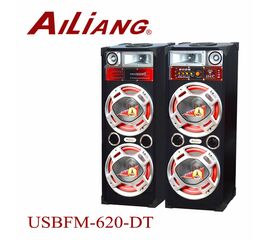 პროფესიონალური ვერტიკალური აკუსტიკური სისტემა AILIANG USBFM620-DT დენზე (FM,BLUETOOTH,USB,TF)iMart.ge