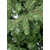 გერმანული წარმოების ფუმფულა საახალწლო ნაძვის ხე 270 სმ ALASKA PREMIUMiMart.ge