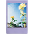 ფოტოფირი FUJIFILM INSTAX MINI SOFT LAVENDER FILM (10X1)iMart.ge