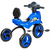 საბავშვო ველოსიპედი GOLDEN CHILD 868BLUiMart.ge