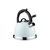 ჩაიდანი ARDESTO AR1955KS KETTLE GEMINI, 2L, STAINLESS STEEL, BLUEiMart.ge