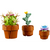 კონსტრუქტორი LEGO ICONS TINY PLANTS (10329)iMart.ge