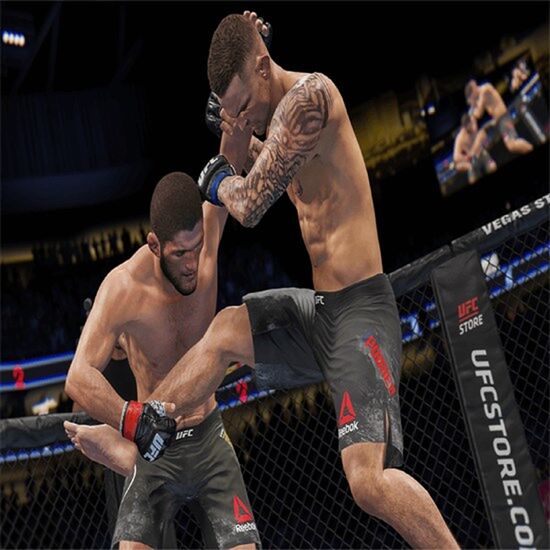 ვიდეო თამაში GAME FOR PS4 UFC 4iMart.ge