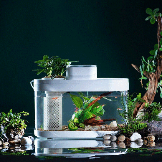 აკვარიუმი ავტომატური დისპენსერით XIAOMI DESGEO FISH TANK WITH WIFI BOX AUTOMATICiMart.ge
