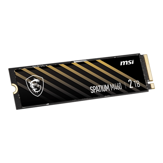 SSD მყარი დისკი MSI SPATIUM M460 PCIE 4.0 NVME M.2 (1 TB)iMart.ge
