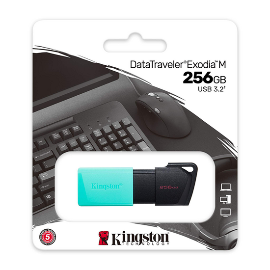 USB ფლეშ მეხსიერების ბარათი KINGSTON DTXM/256GB DATATRAVELER EXODIA M (256 GB)iMart.ge