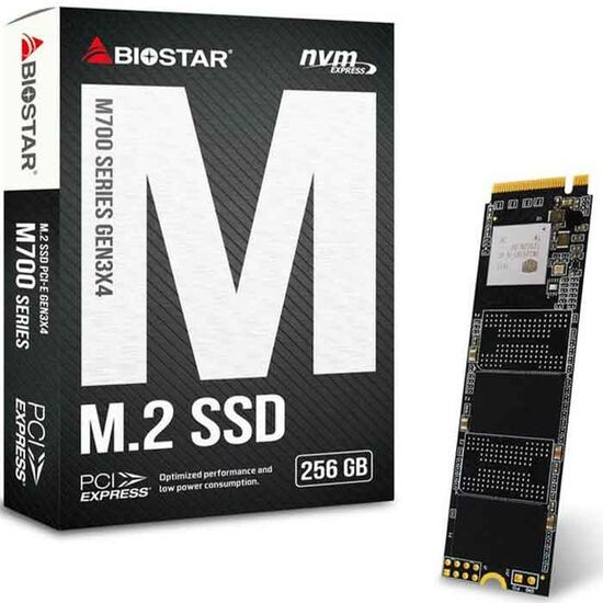 მყარი დისკი BIOSTAR PC COMPONENTS/ SSD M700 M2  SSD 256GB SATA (M700256GB)iMart.ge
